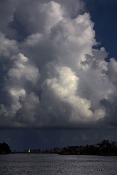 The Green Marker   2015