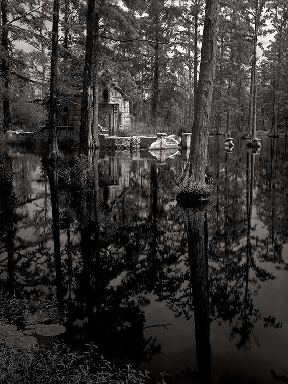 The Saturday Picnic  2004