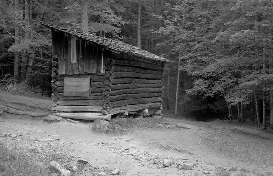 For Mice and Men     1999