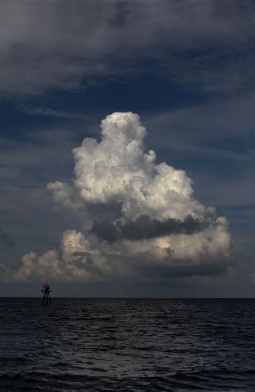 The Red Marker   2015