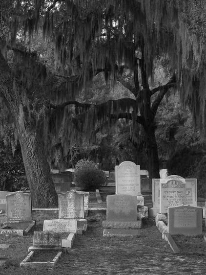 White Tablets - Bonaventure   2015