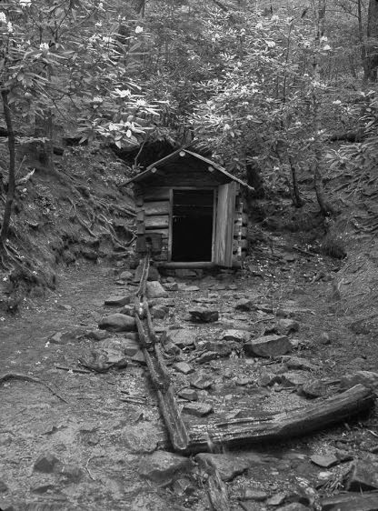 Spring House     1999