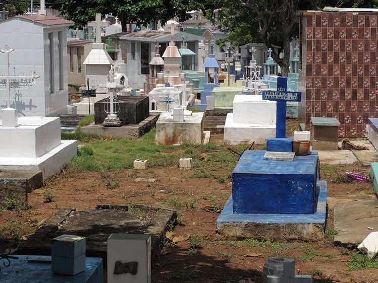 Community Ties  2013