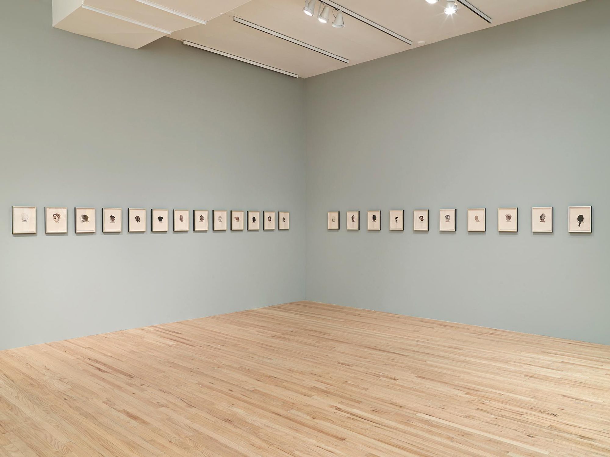  "Lorna Simpson: Works on Paper", Aspen Art Museum, Aspen, CO 2013