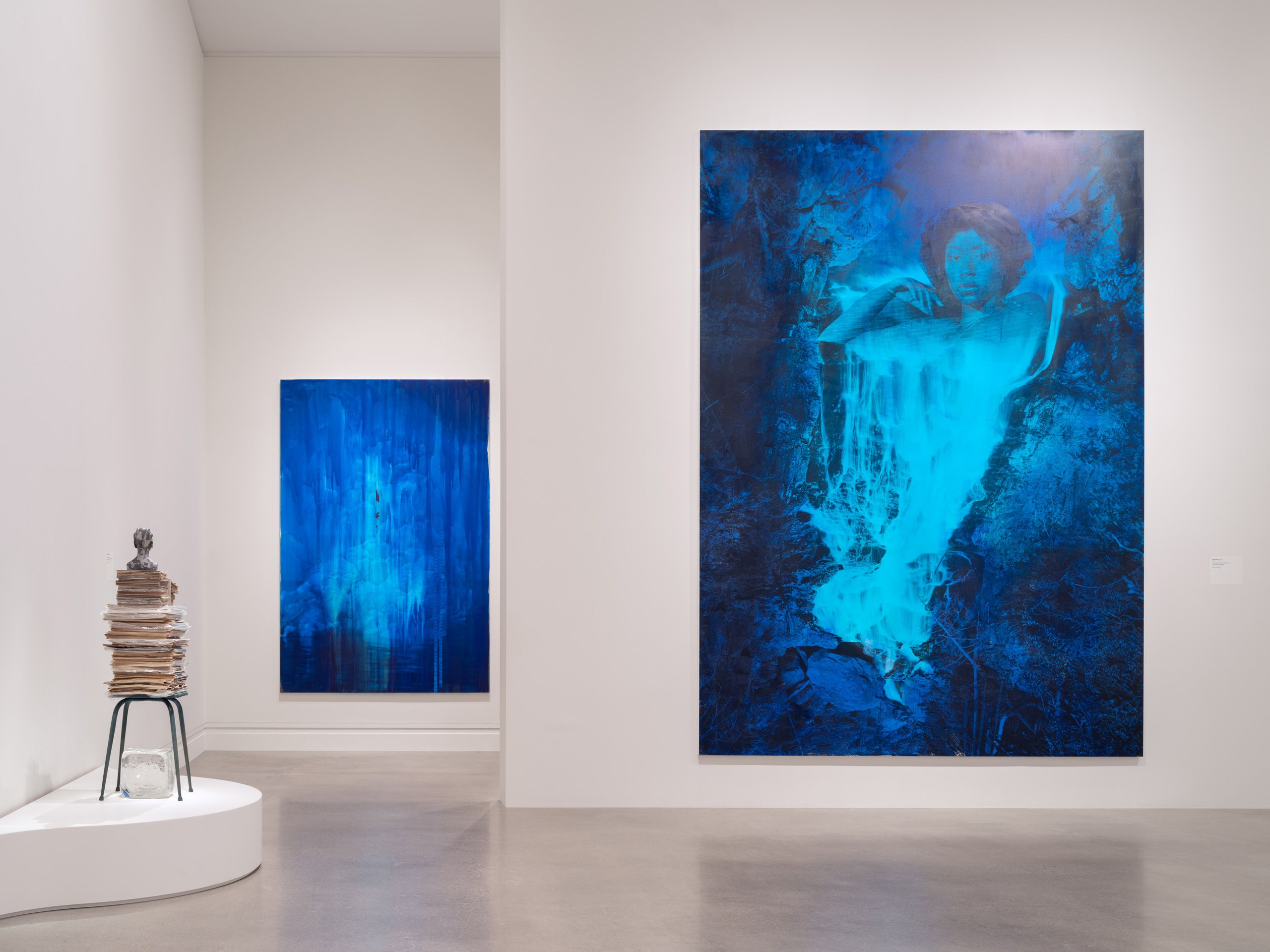 Lorna Simpson: Source Notes, Metropolitan Museum of Art, New York, 2025