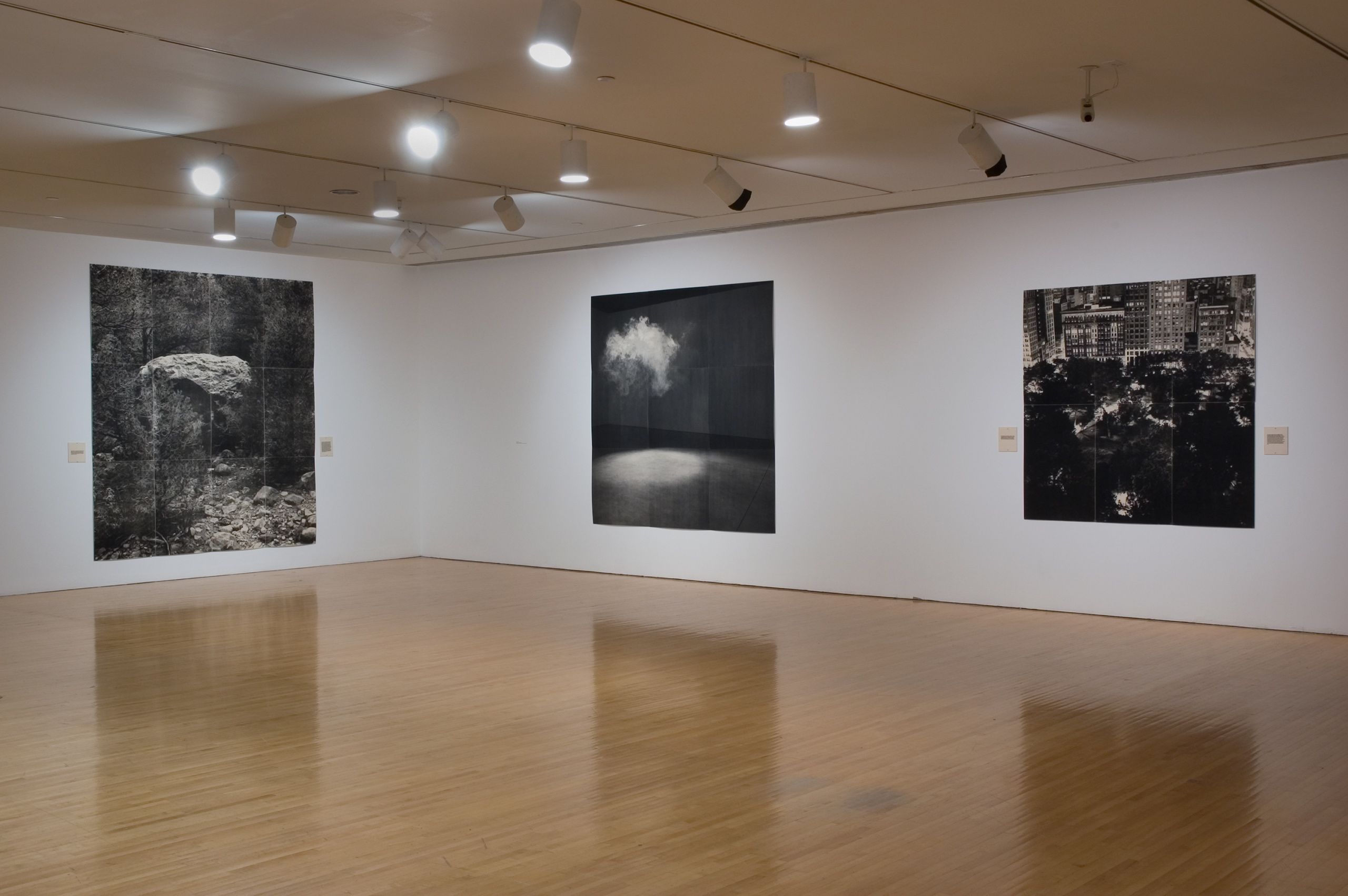 Photo credit: Brian Forrest  "Lorna Simpson", Museum of Contemporary Art Los Angeles, CA 2006