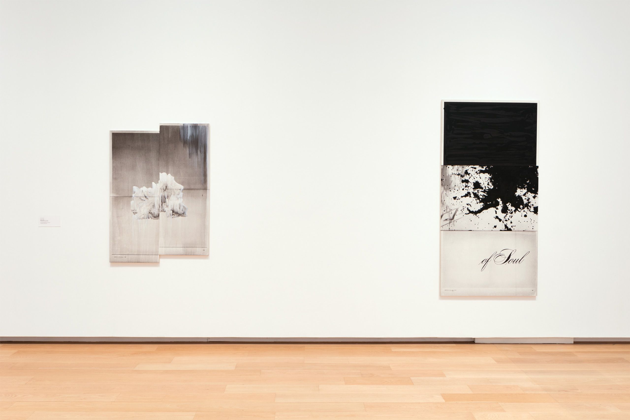 "Focus: Lorna Simpson", Modern Art Museum of Fort Worth, TX 2016-17