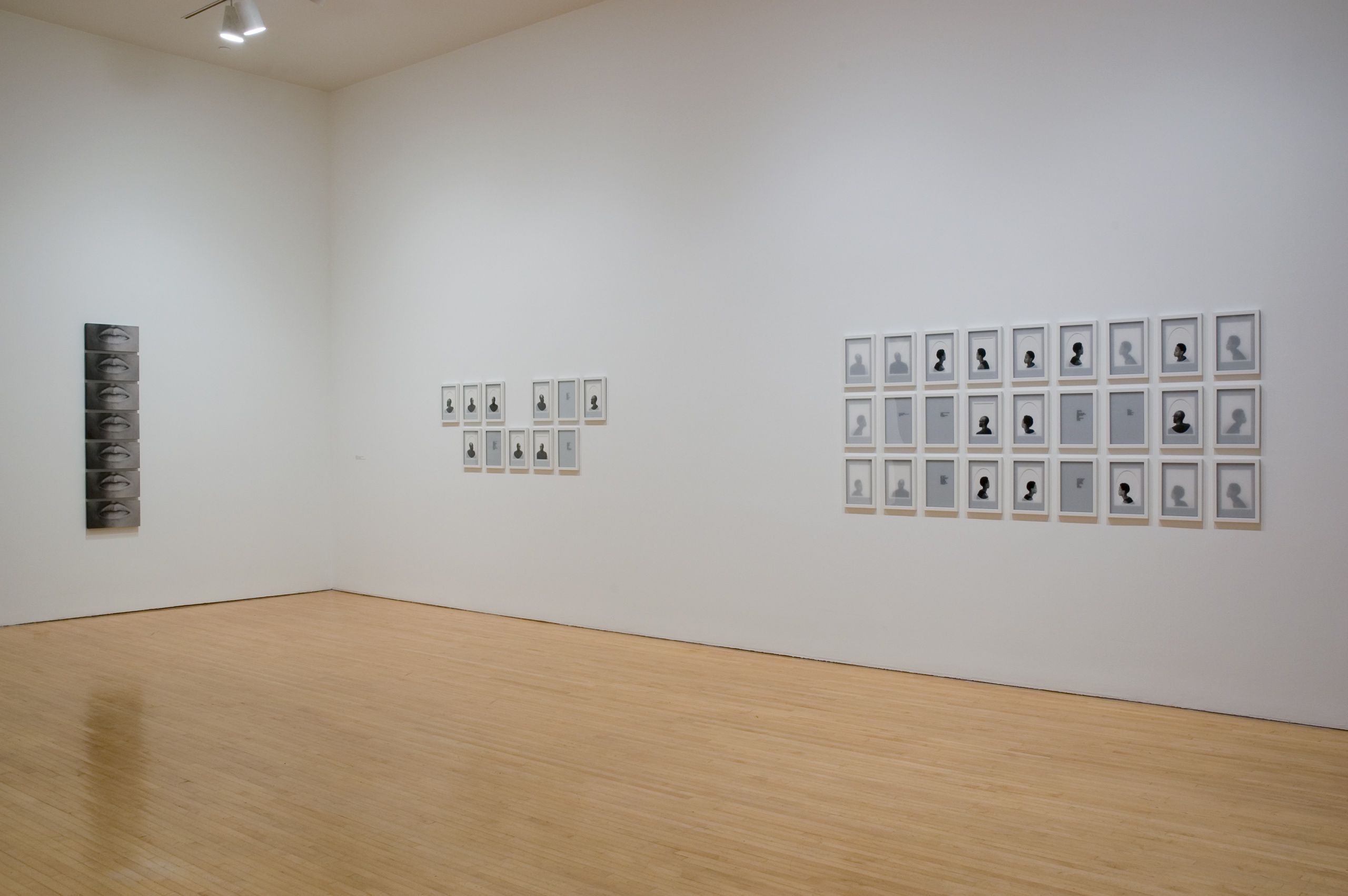 Photo credit: Brian Forrest  "Lorna Simpson", Museum of Contemporary Art Los Angeles, CA 2006