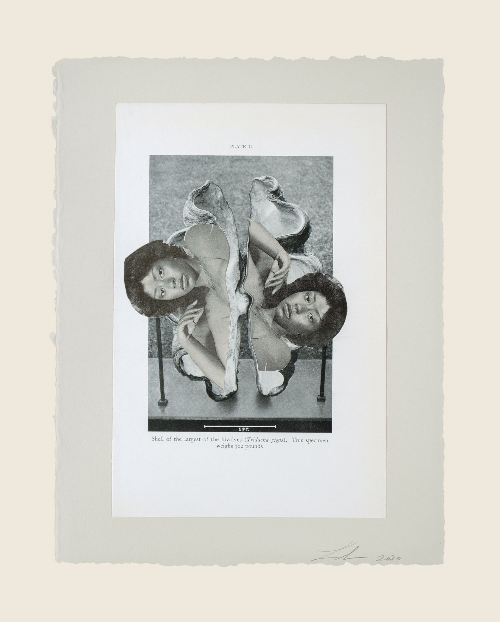 Collage on paper - 11 x 8 1/2 in (27.9 x 21.6 cm) Living Large, 2020