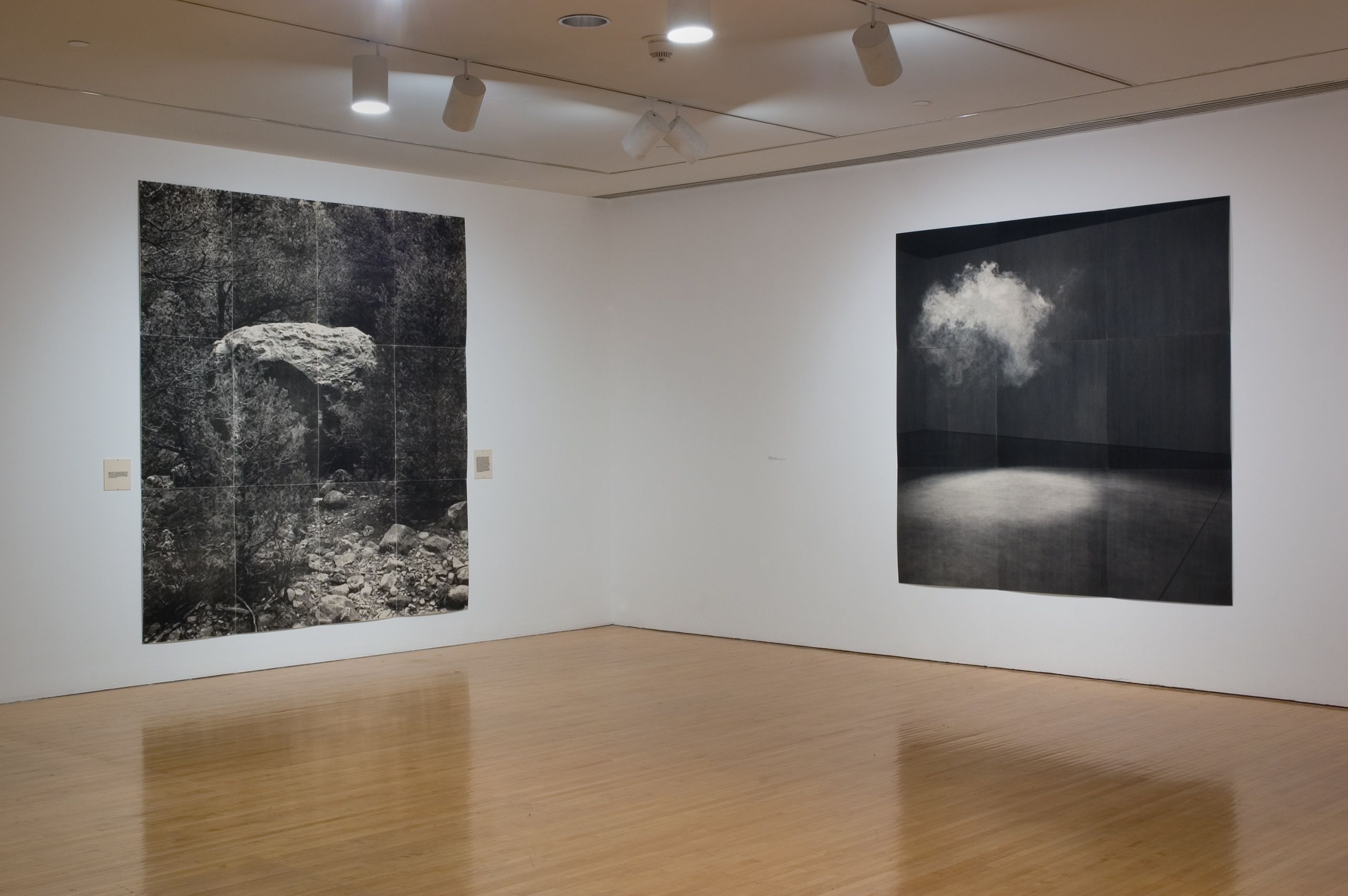 Photo credit: Brian Forrest  "Lorna Simpson", Museum of Contemporary Art Los Angeles, CA 2006