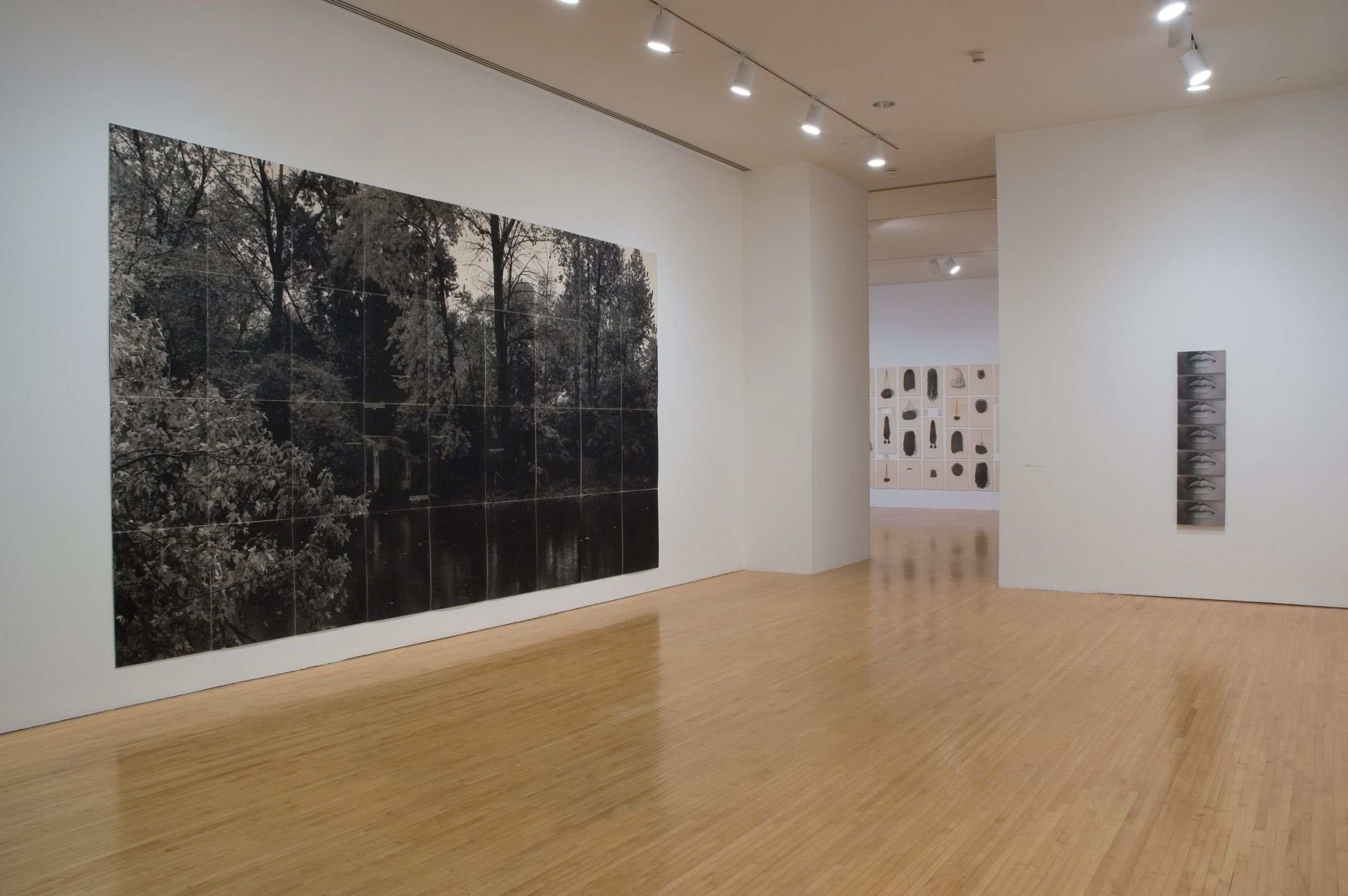 Photo credit: Brian Forrest  "Lorna Simpson", Museum of Contemporary Art Los Angeles, CA 2006