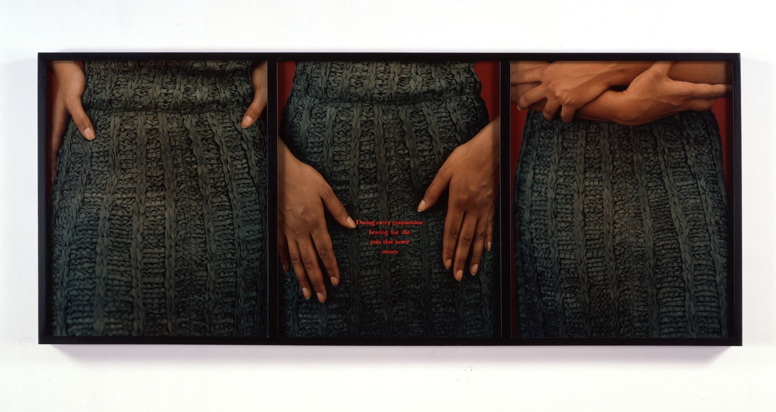 3 dye diffusion color Polaroid prints, engraved plexiglass - 25 x 60 1/2 in (63.5 x 153.7 cm) Lower Region, 1992