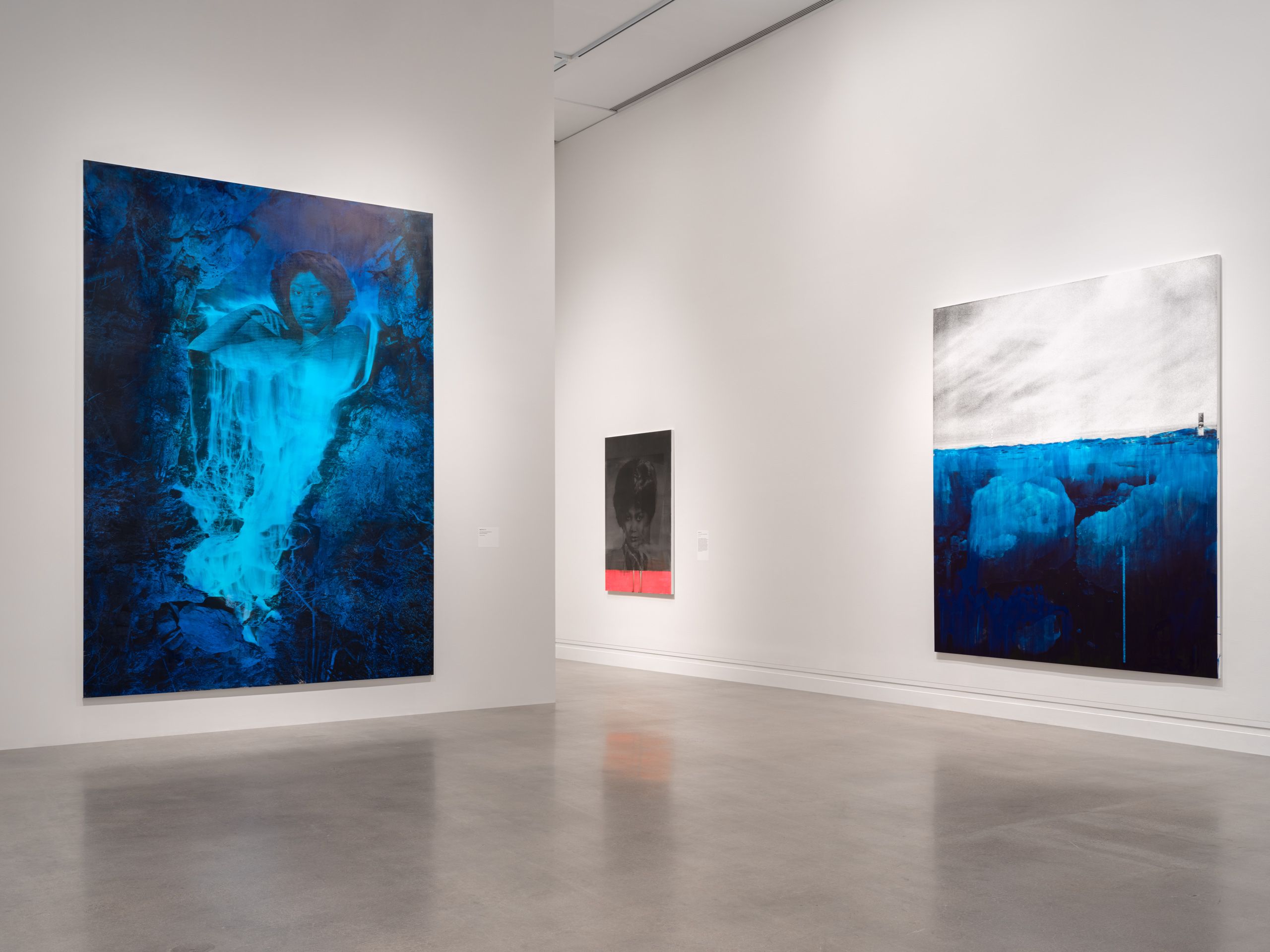 Lorna Simpson: Source Notes, Metropolitan Museum of Art, New York, 2025