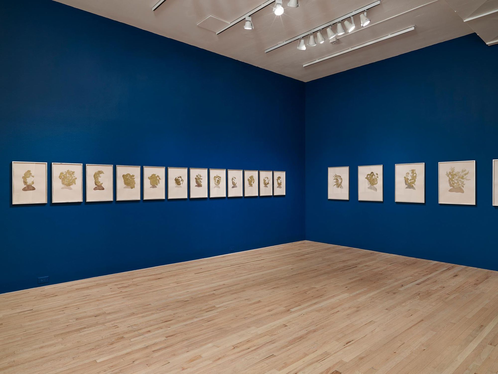  "Lorna Simpson: Works on Paper", Aspen Art Museum, Aspen, CO 2013