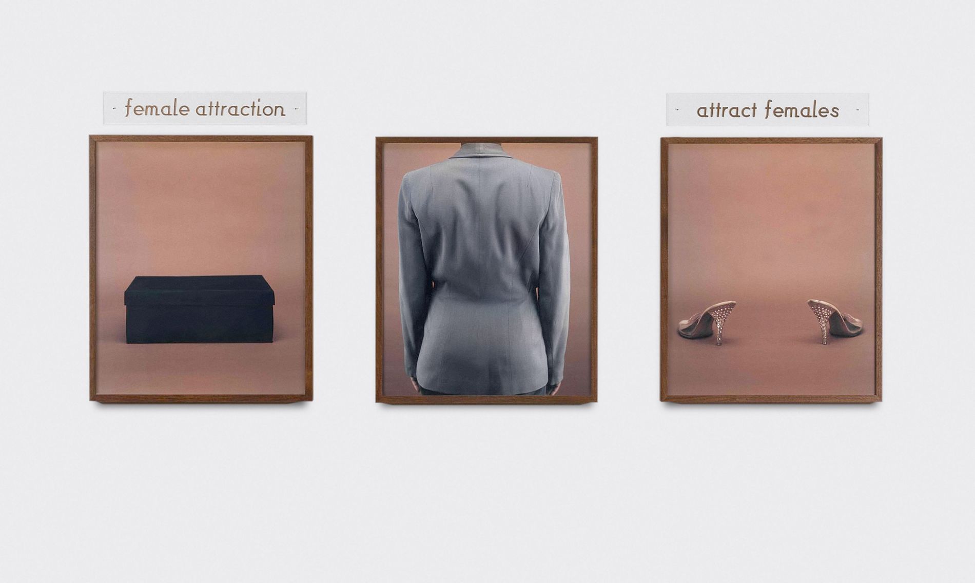 3 dye diffusion color Polaroid prints, 2 engraved plastic plaques - Overall: 29 1/2 x 77 3/4 in (74.9 x 197.5 cm) Shoe Lover, 1992