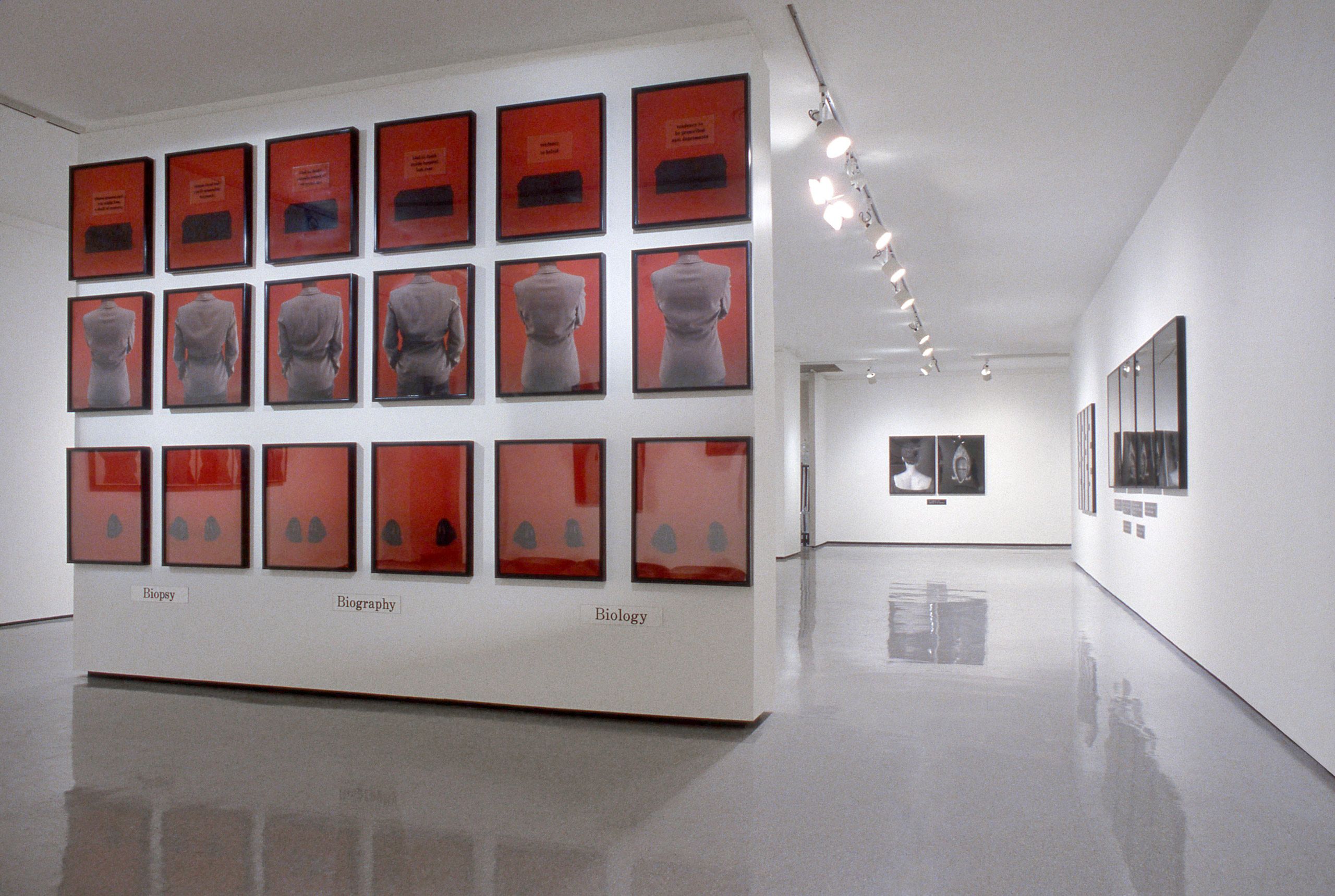 Lorna Simpson: For the Sake of the Viewer