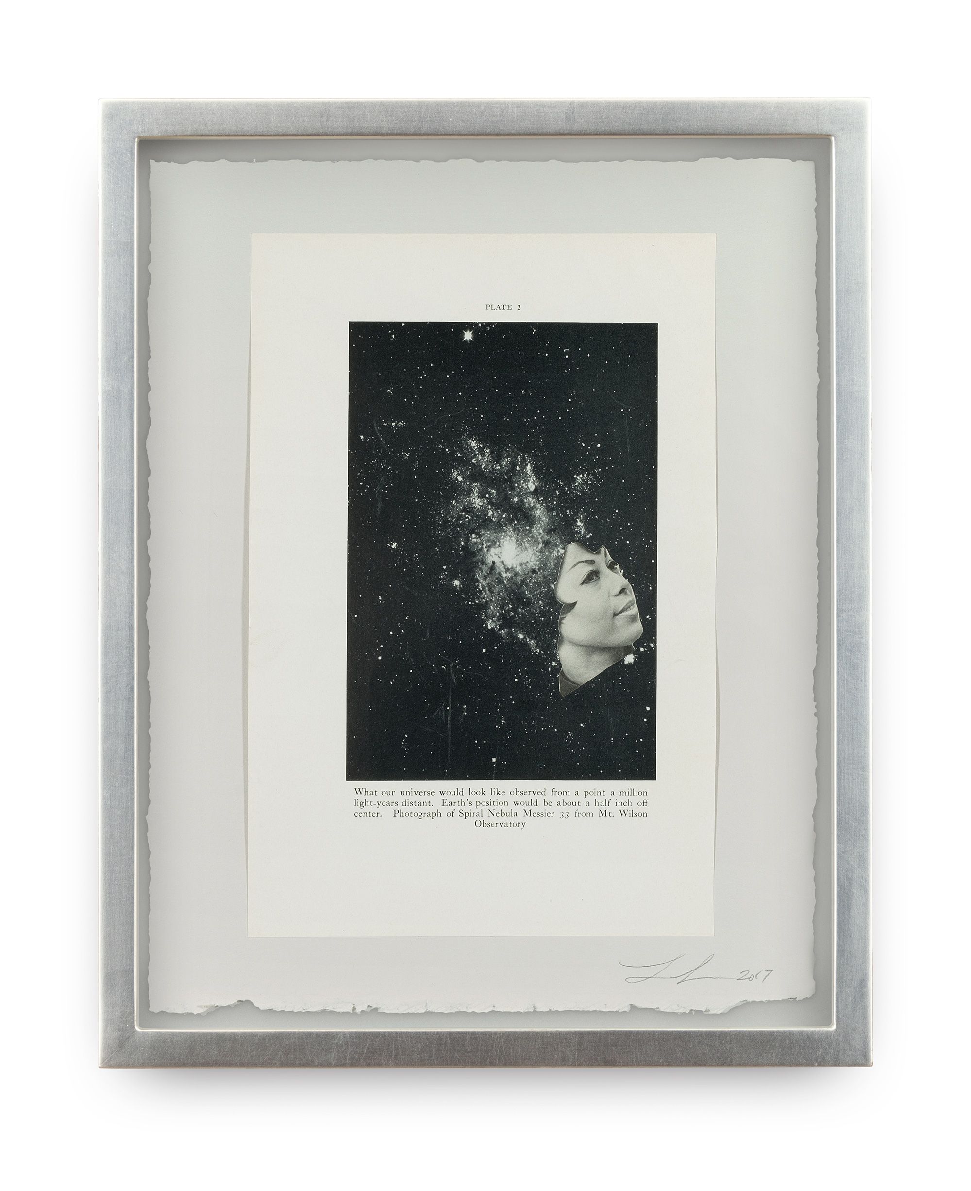 Phenomena, 2016-2017 (detail)