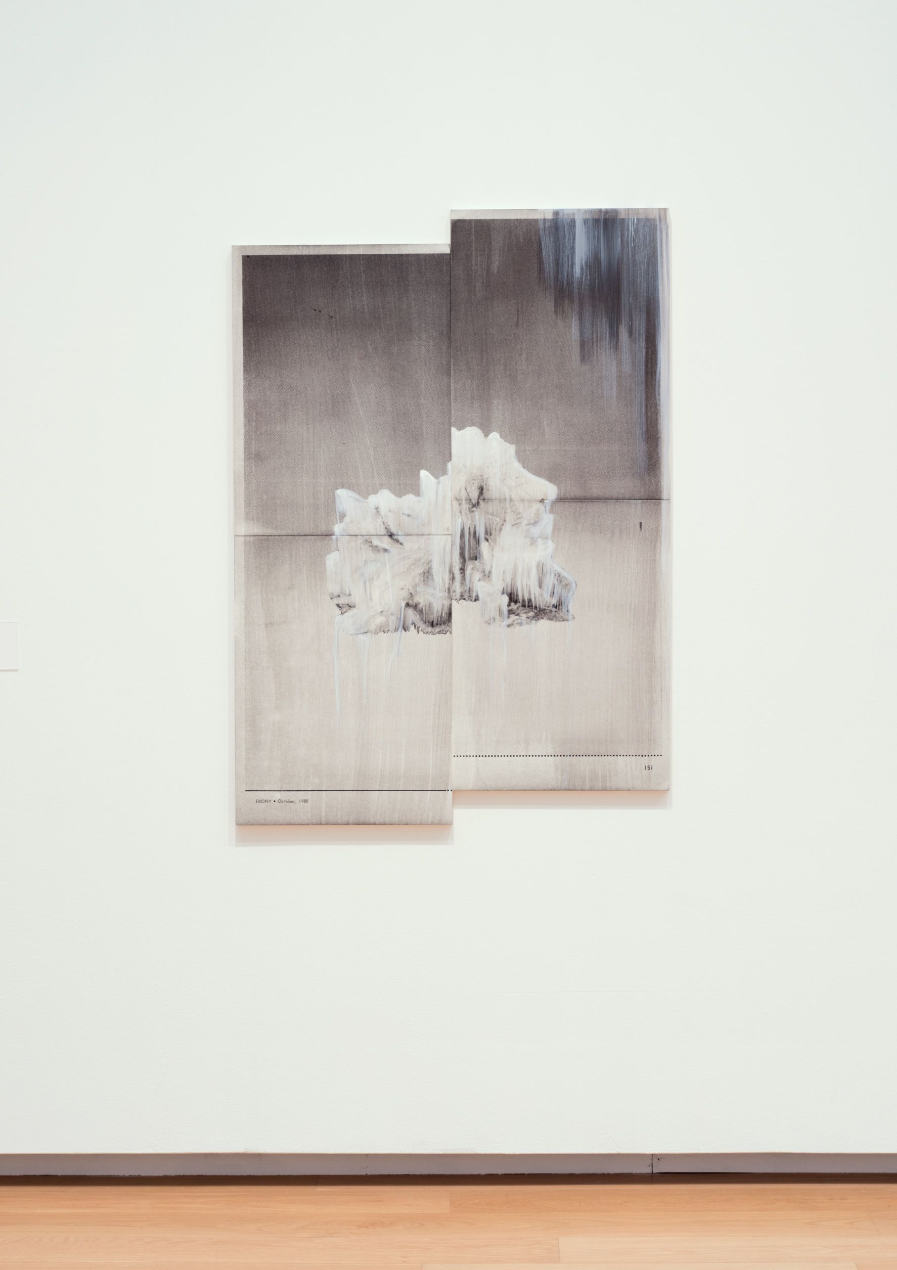 "Focus: Lorna Simpson", Modern Art Museum of Fort Worth, TX 2016-17