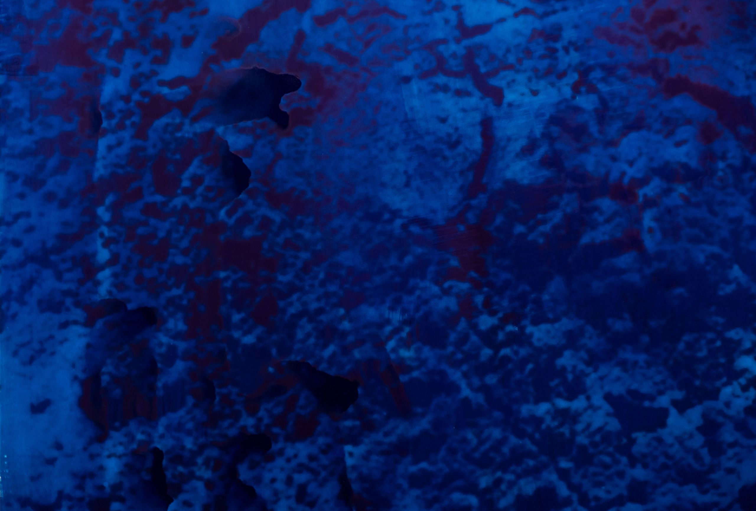 Specific Notation, 2019 (detail)