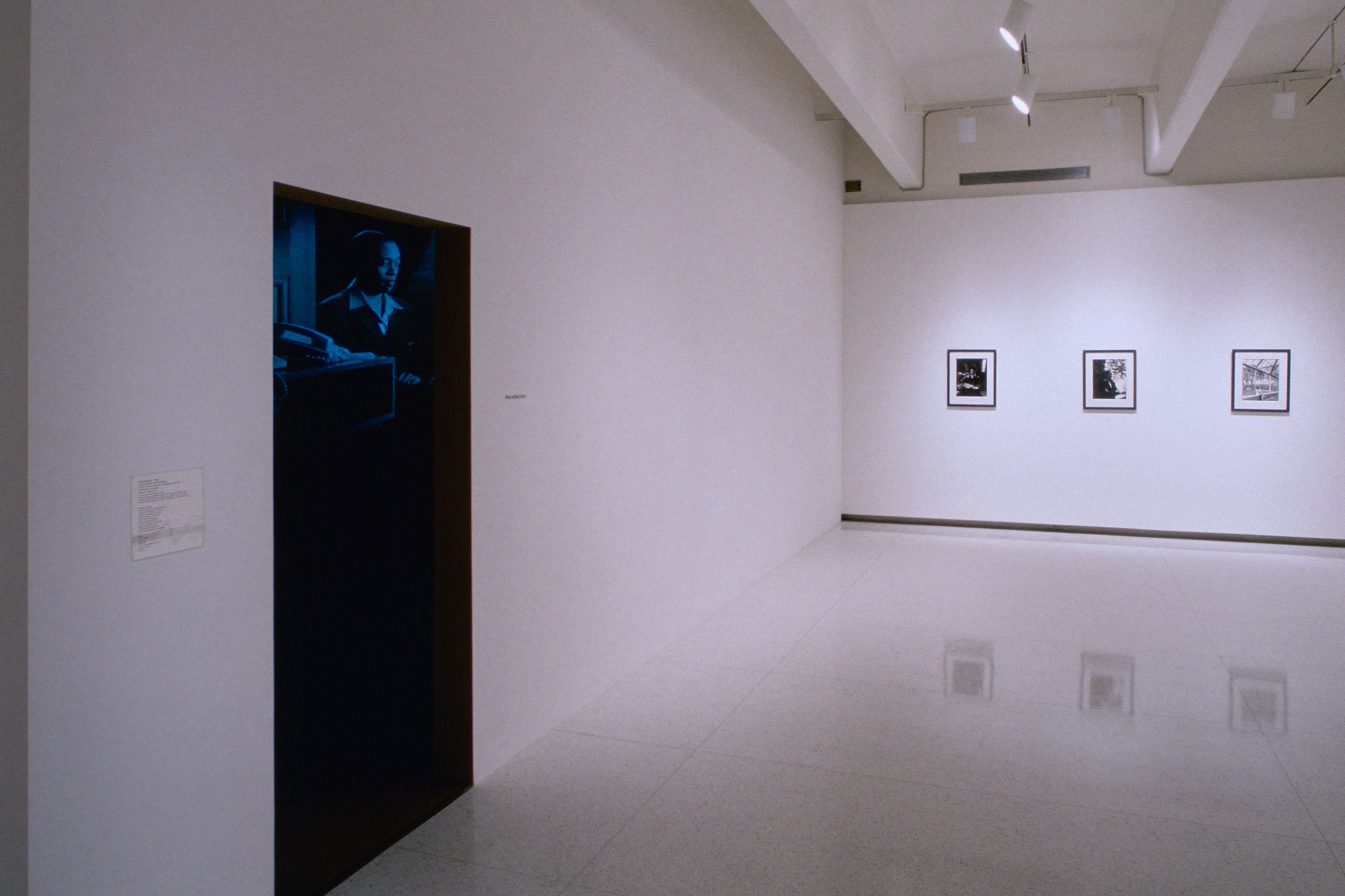 "Scenarios: Recent Work by Lorna Simpson", Walker Art Center, Minneapolis, MN 1999