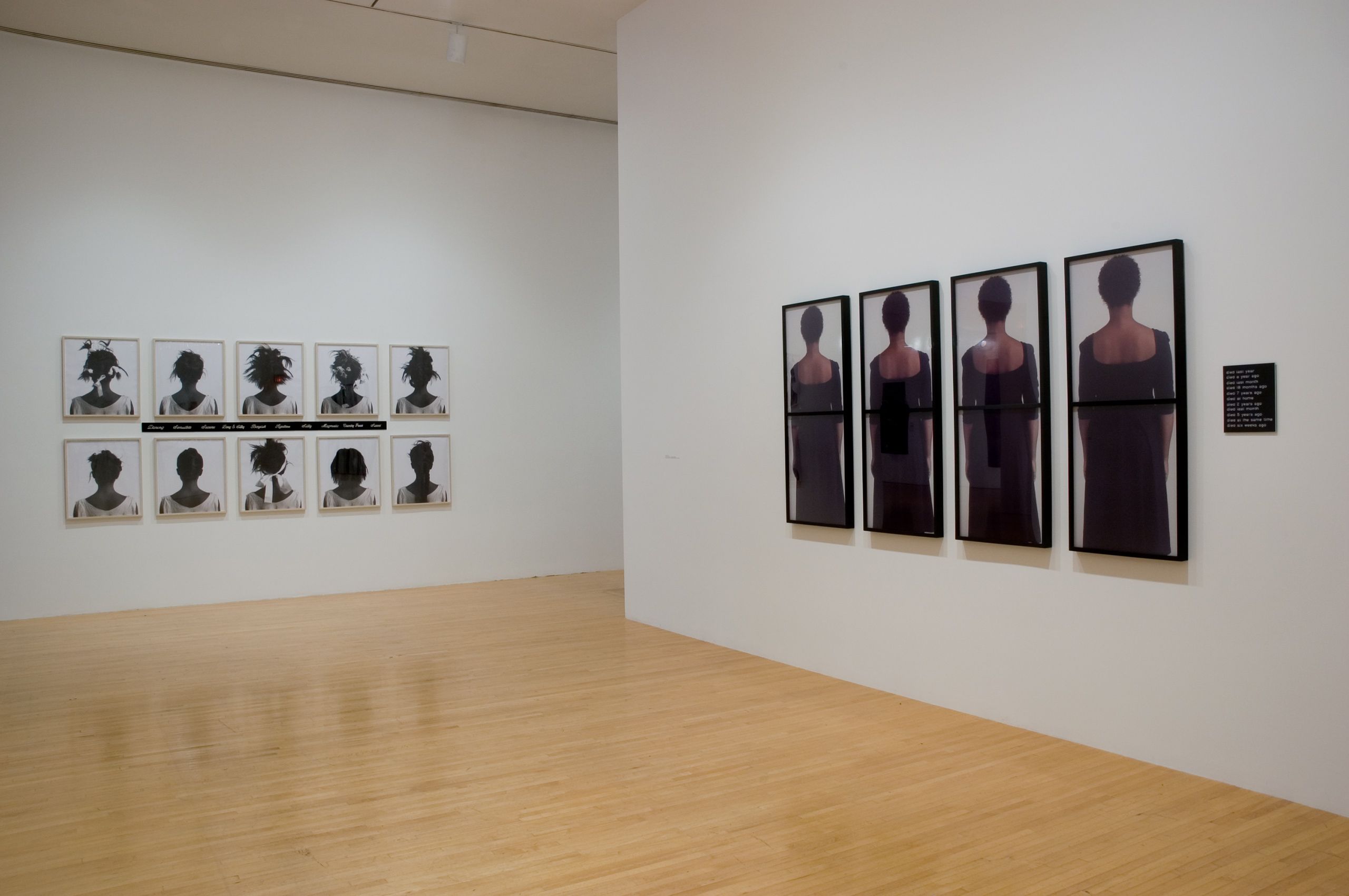 Photo credit: Brian Forrest  "Lorna Simpson", Museum of Contemporary Art Los Angeles, CA 2006