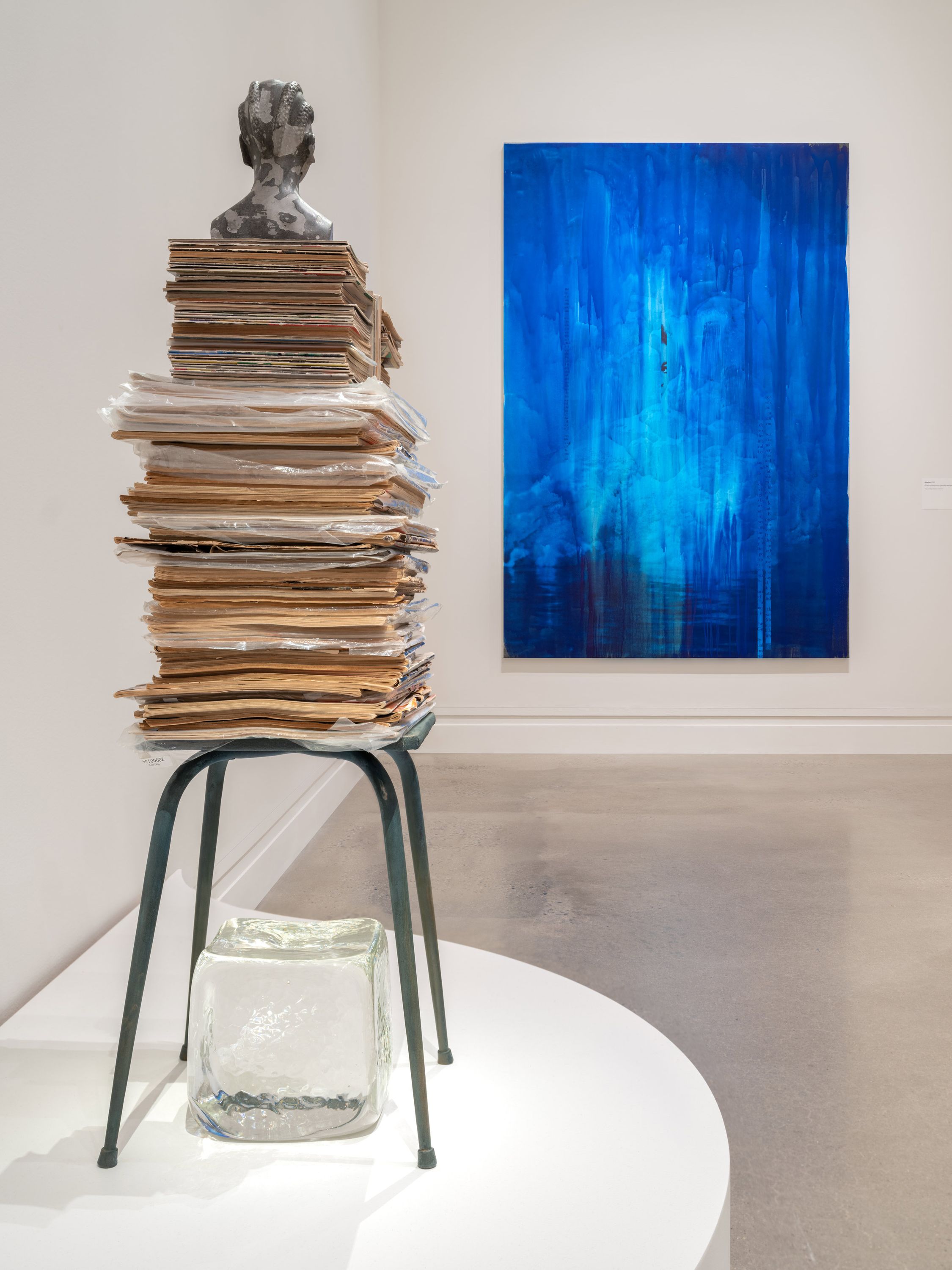 Lorna Simpson: Source Notes, Metropolitan Museum of Art, New York, 2025