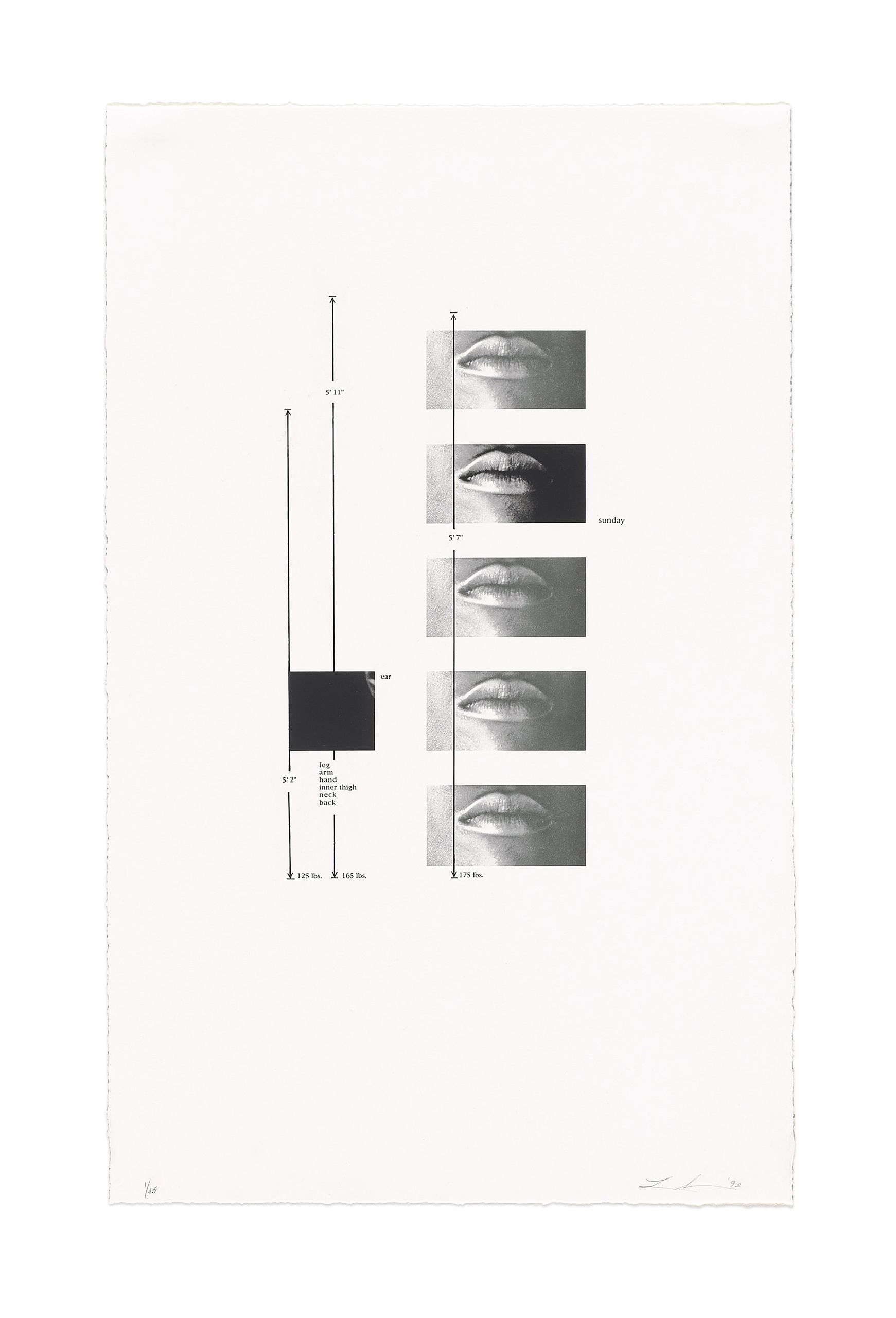 Lithograph with flocking - 24 1/8 x 15 in (61.3 x 38.1 cm)  Untitled (lips), 1992