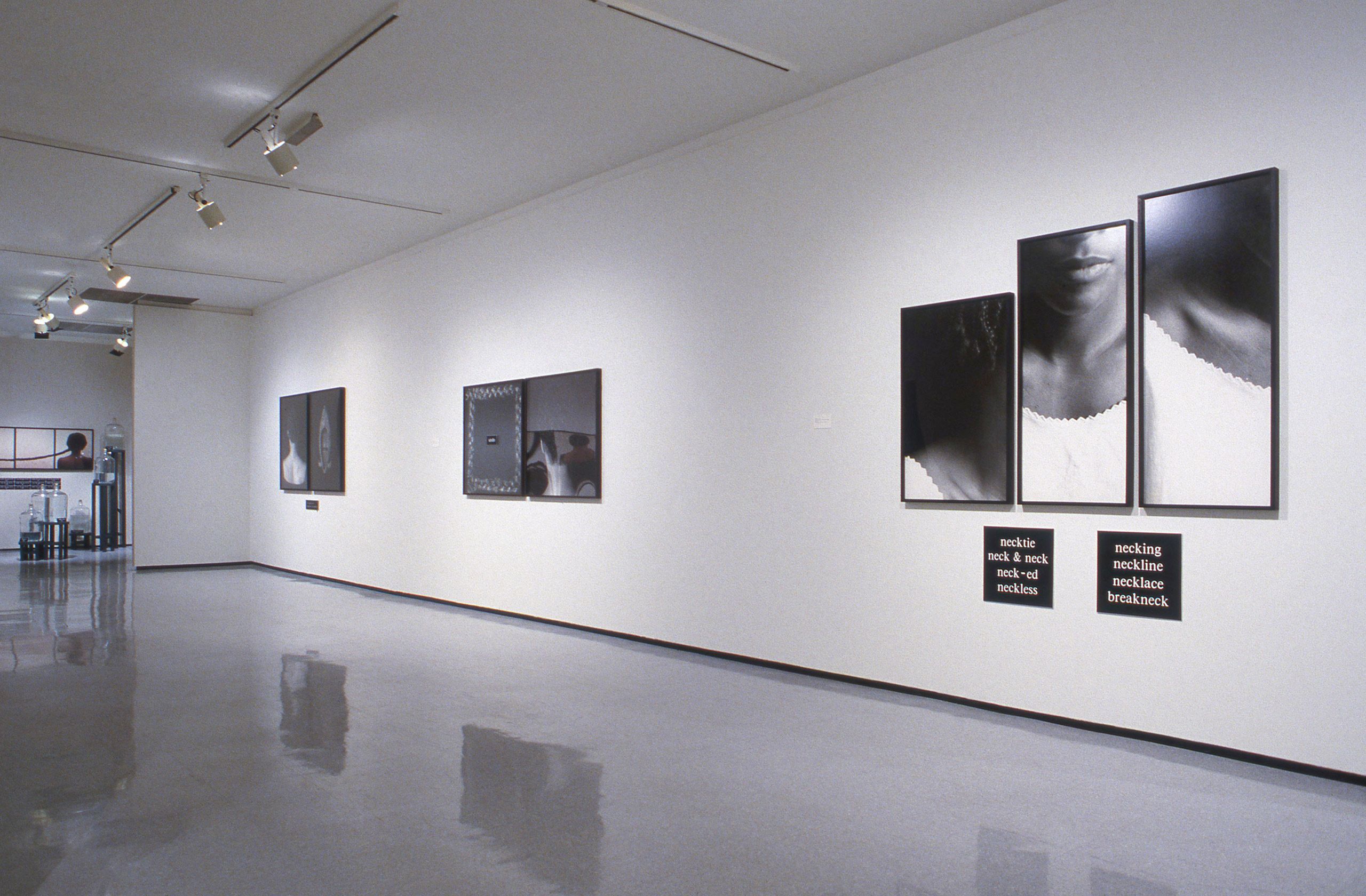 Lorna Simpson: For the Sake of the Viewer
