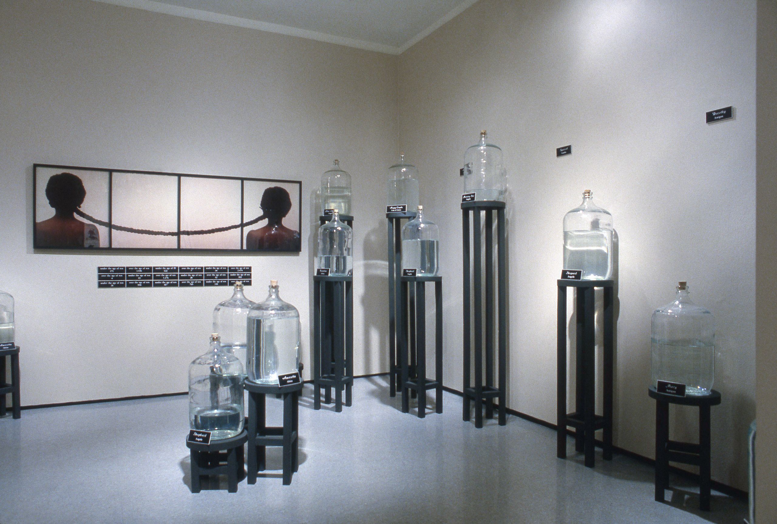 Lorna Simpson: For the Sake of the Viewer