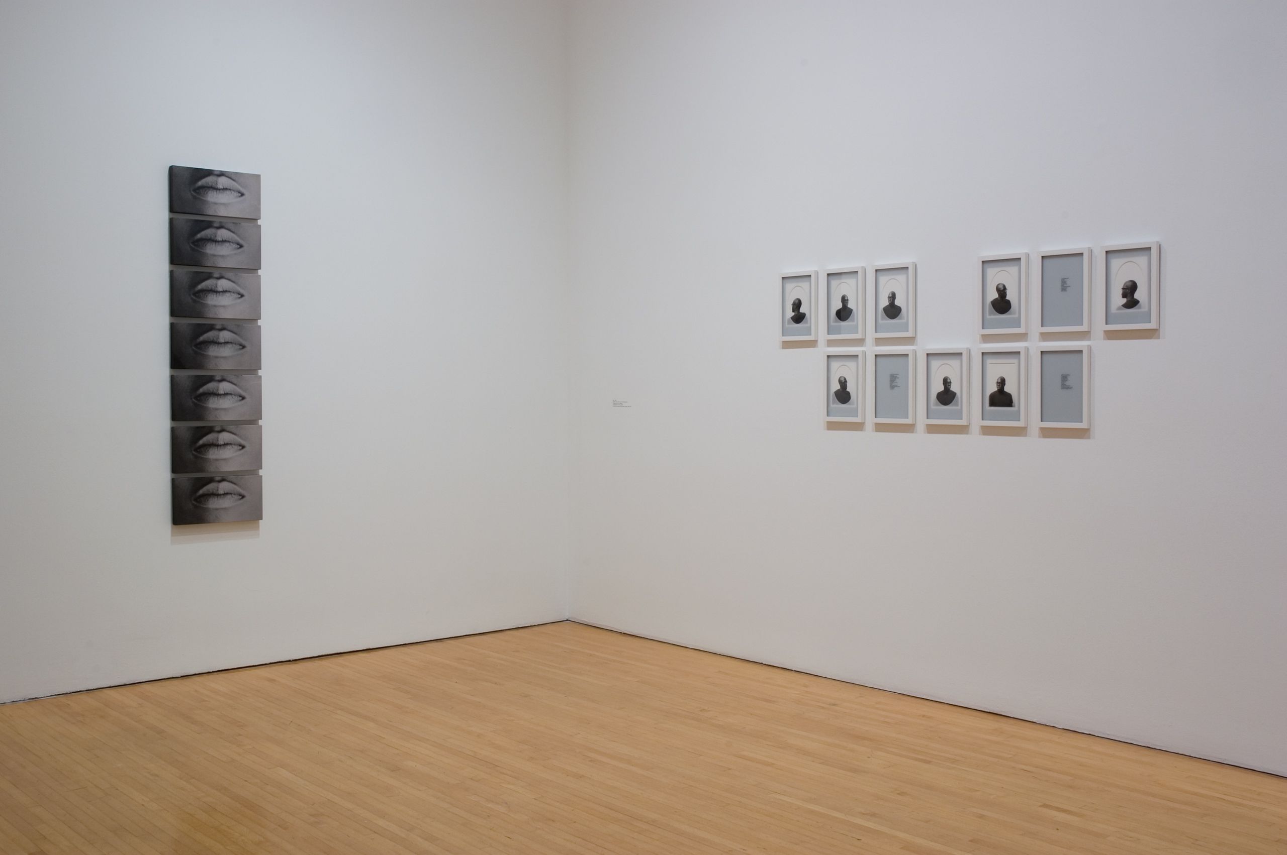 Photo credit: Brian Forrest  "Lorna Simpson", Museum of Contemporary Art Los Angeles, CA 2006