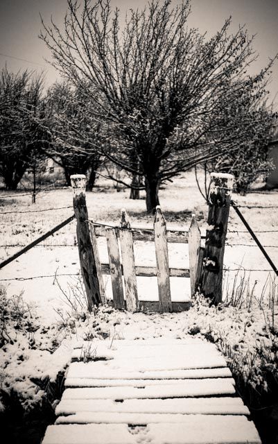 gate in snow