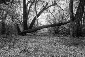 20230114-325.jpg
