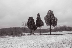 20180402-Gettysburg-0026.JPG