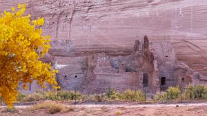 IMG_0149 pp.jpg