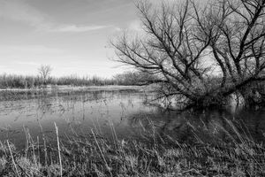 20230108-078.jpg