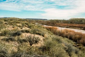 20190324-Coronado-023.jpg