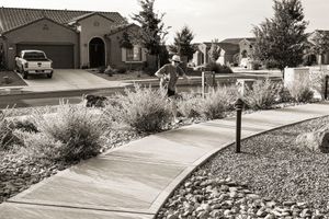 20220726-008-bw.jpg