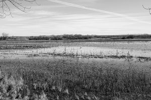 20230108-084.jpg