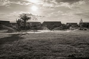 20220726-001-bw.jpg