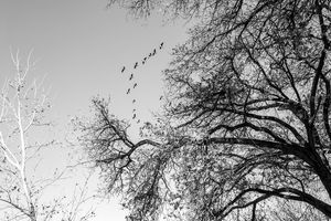 20230113-251.jpg