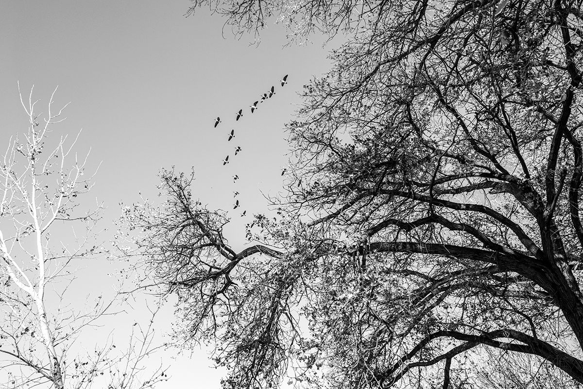 20230113-251.jpg