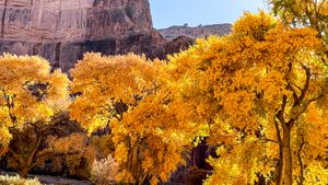 IMG_0126 pp.jpg