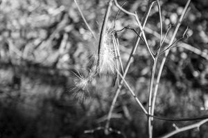 20230113-219.jpg