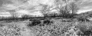 IMG_0159 edited.jpeg
