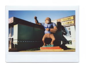 15_SouthoftheBorder_LeighWebber.jpeg