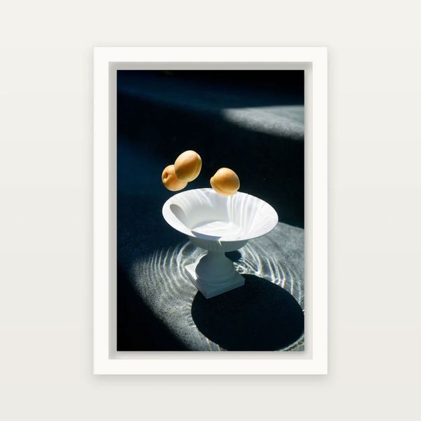 03_DreamsLived_Underwater Altars | Fine Art Still Lifes by Leigh Webber