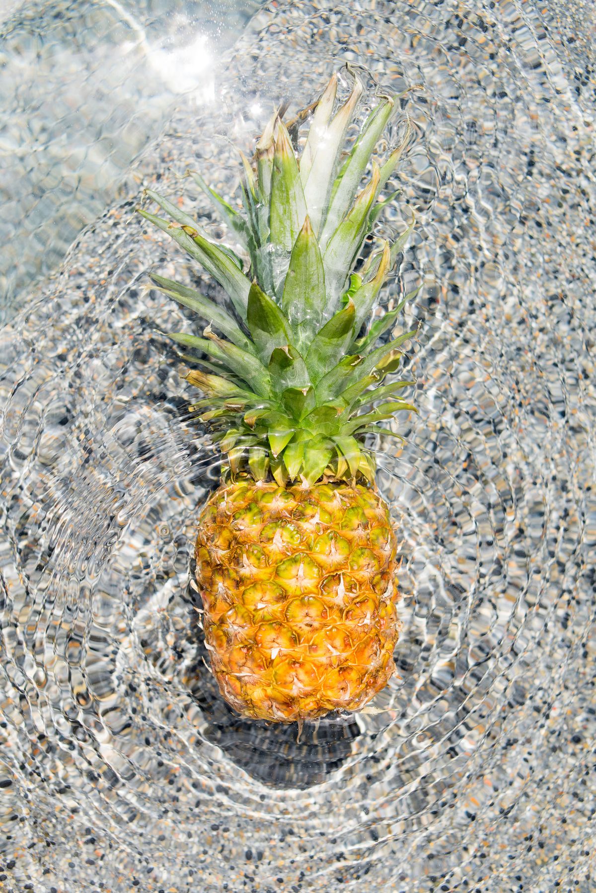 008_leigh webber_dive in.jpg