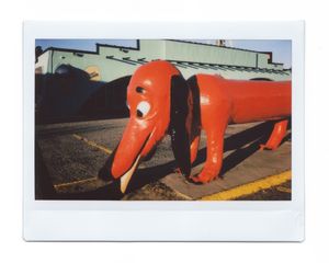 12_SouthoftheBorder_LeighWebber.jpg