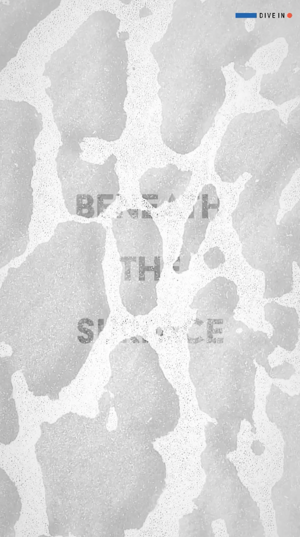 Screen Shot 2021-10-09 at 1.13.50 PM.png