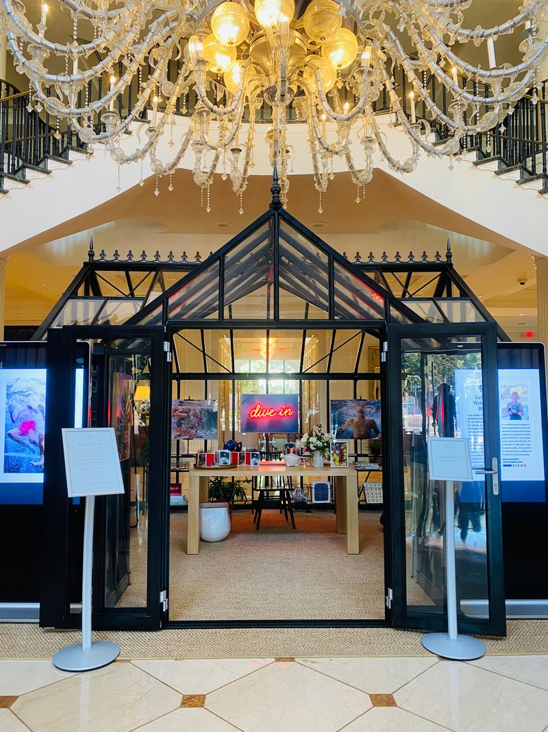 Leigh Webber's exhibition at The Charleston Place